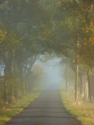foggy-morning-019